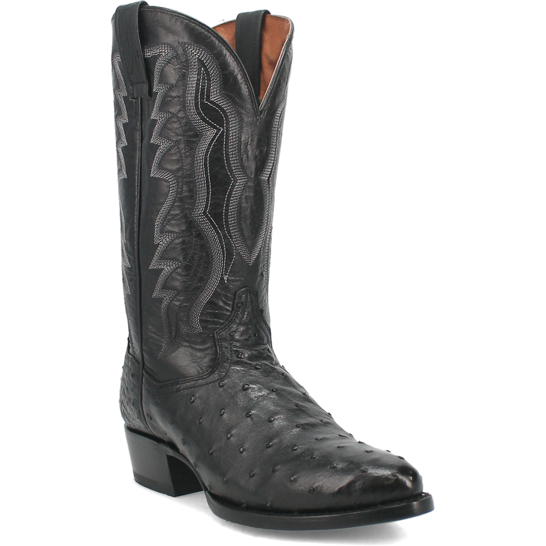 DP2321 Dan Post Tempe Full Quill Ostrich (Black)