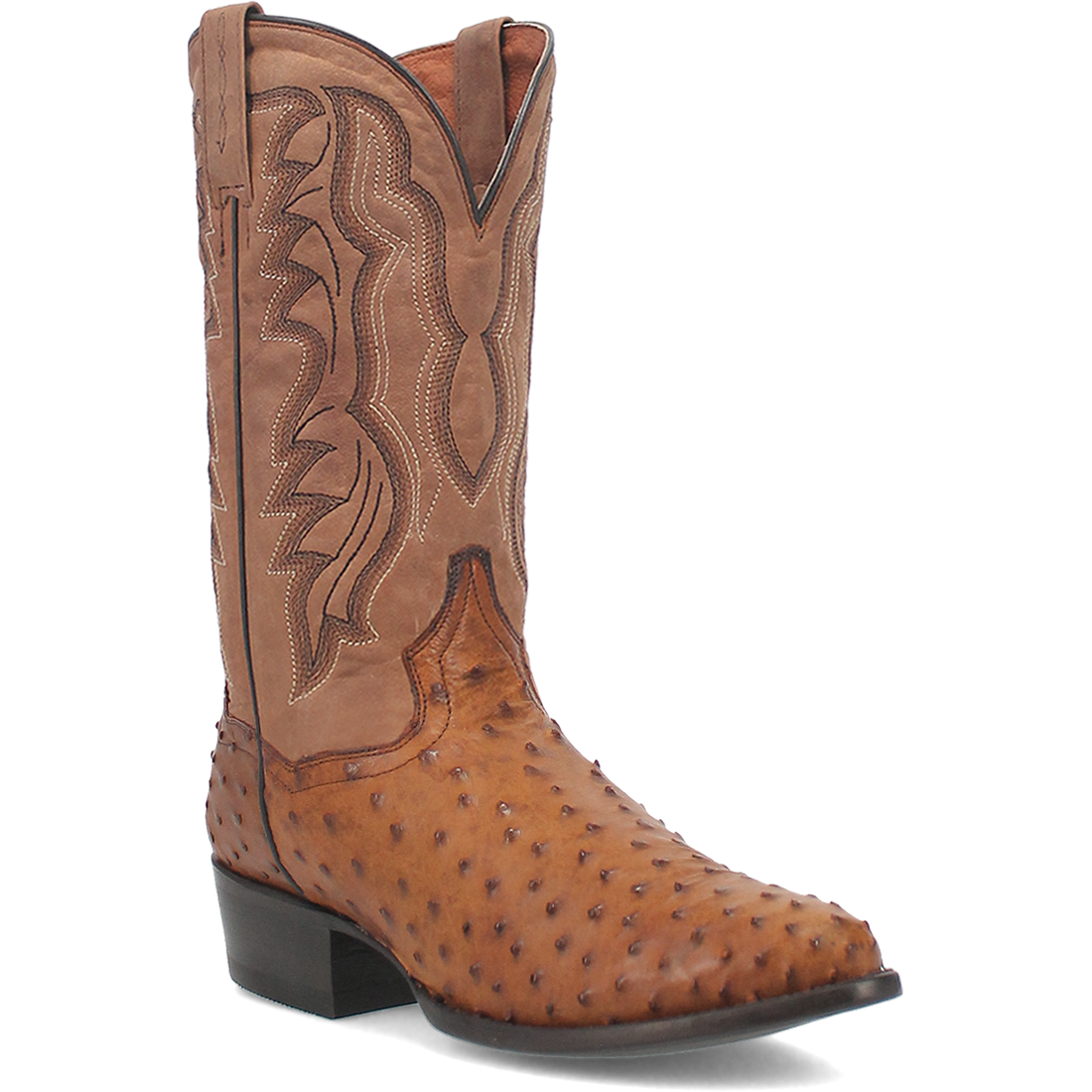 DP2323 Dan Post Tempe Full Quill Ostrich (Saddlebrown/Chocolate)
