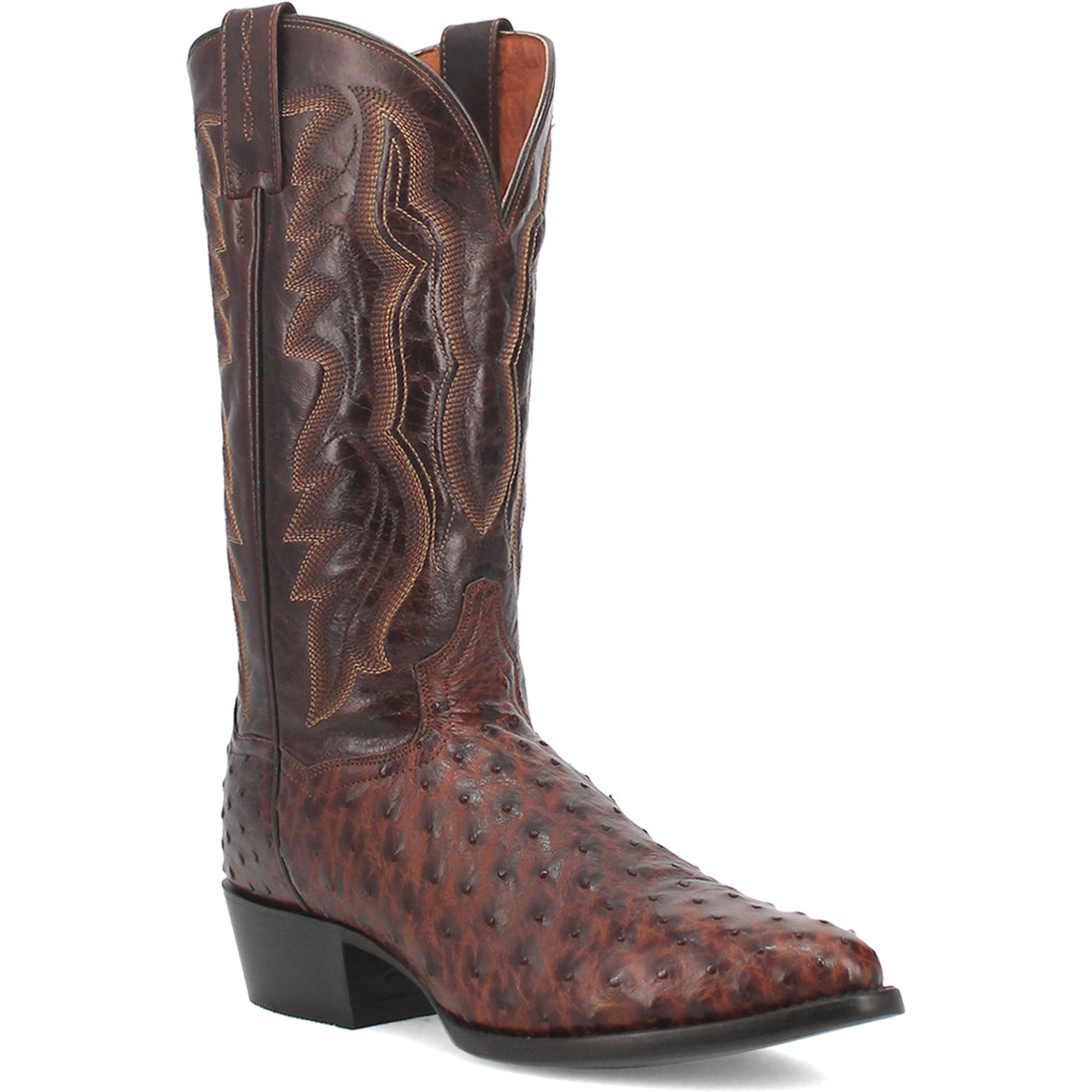 DP3016 Dan Post Pershing Full Quill Ostrich Dark Brown