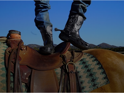 Are you festival-ready?