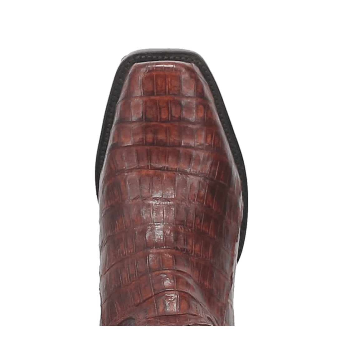DP3074 Dan Post Bayou Caiman Brass Boot